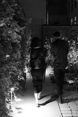 Illuminated garden pathway at night with figures walking through.