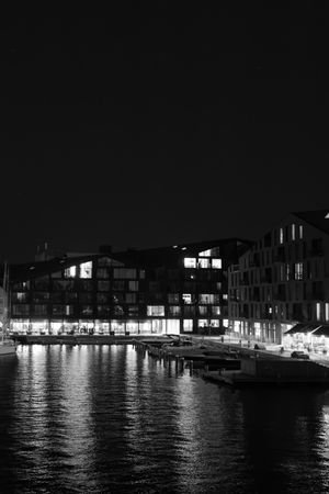 Waterfront buildings with lights reflecting on calm water at night in black and white.