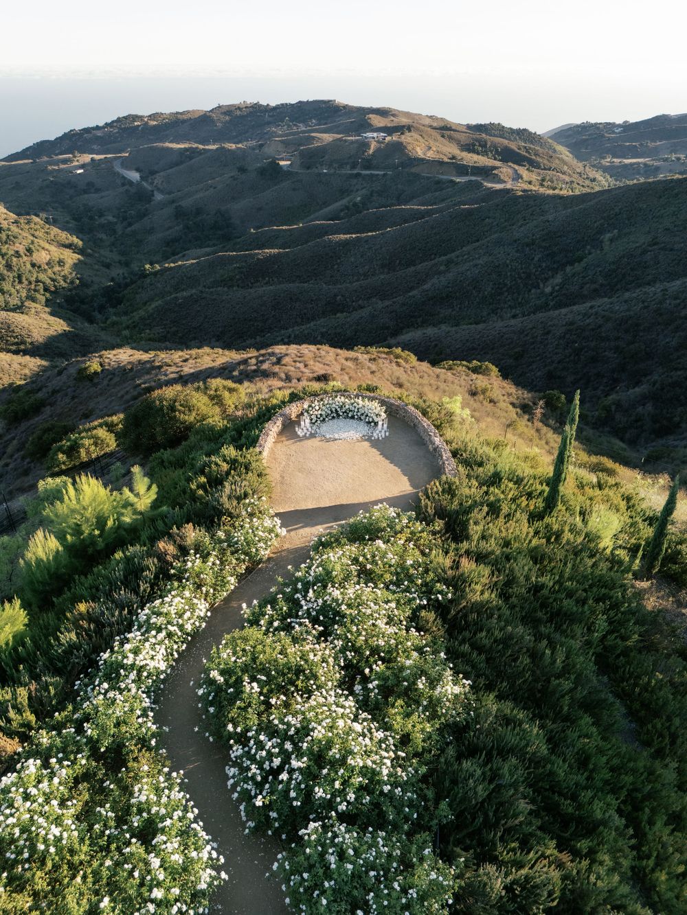 Scenic mountain road winding through green hills with white wildflowers blooming alongside at sunset in Malibu.
