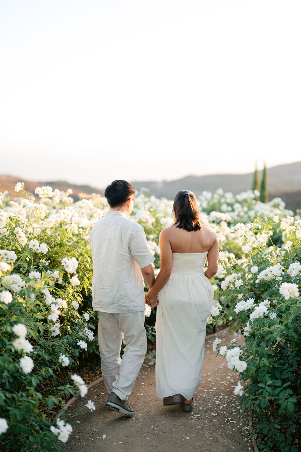 A couple in white attire sits surrounded by blooming white roses in a garden at sunset.