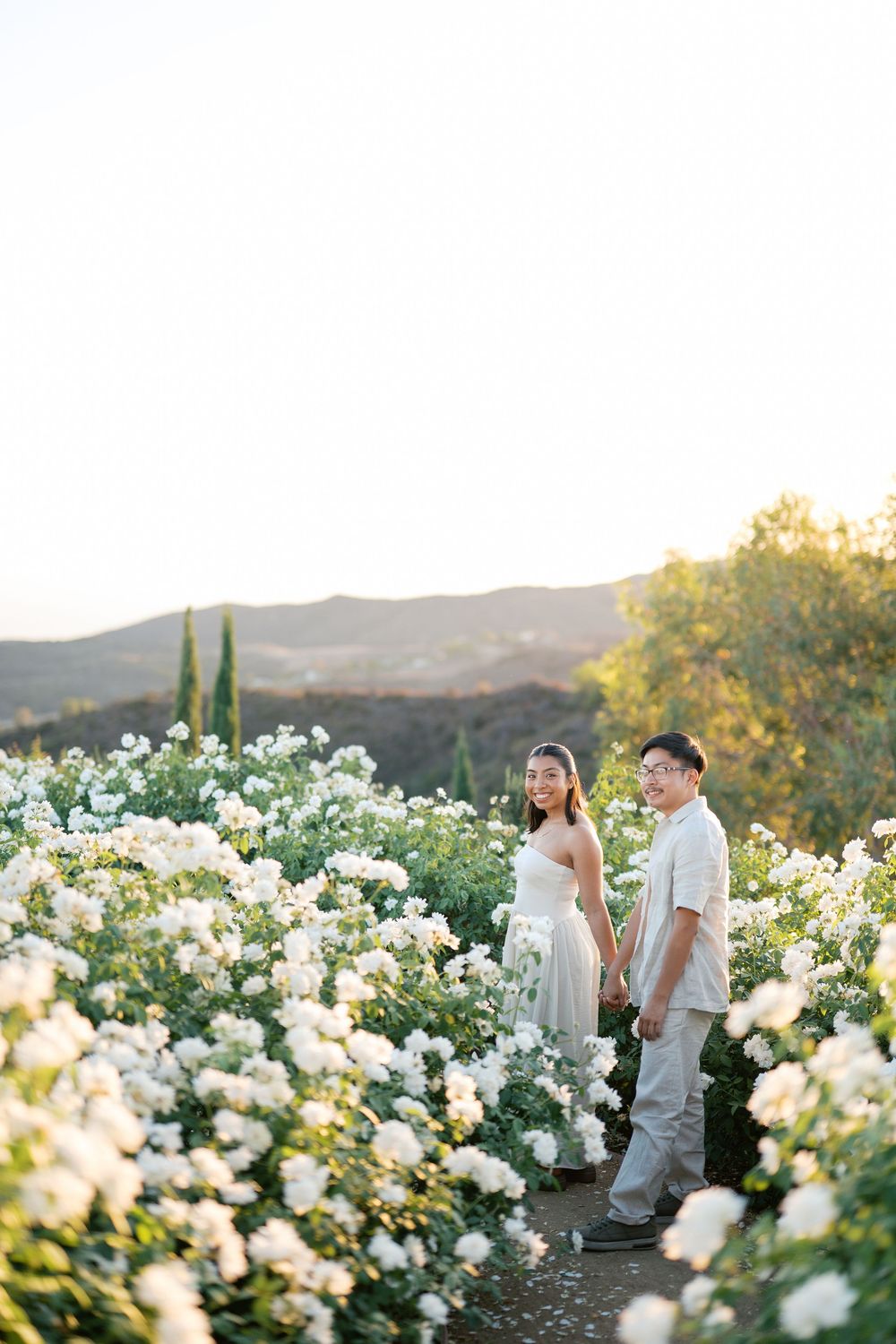 Couple walking together through a blooming white rose garden with mountains in the background at golden hour.