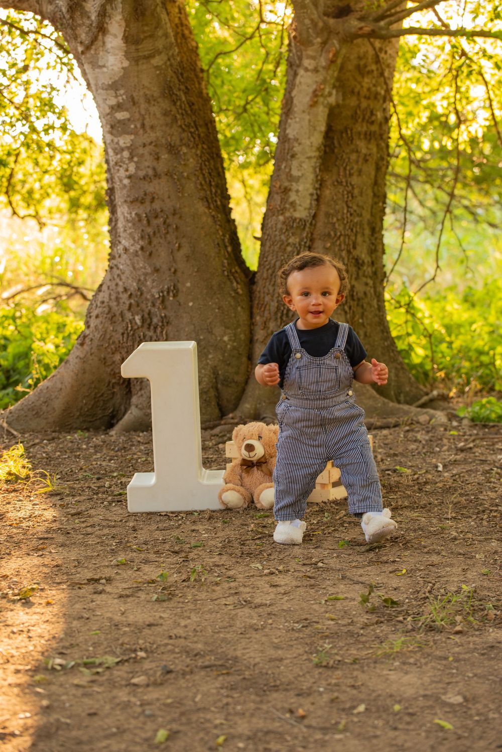 A series of four milestone photos showing a baby in denim overalls walking near a stuffed teddy bear and number one sign.