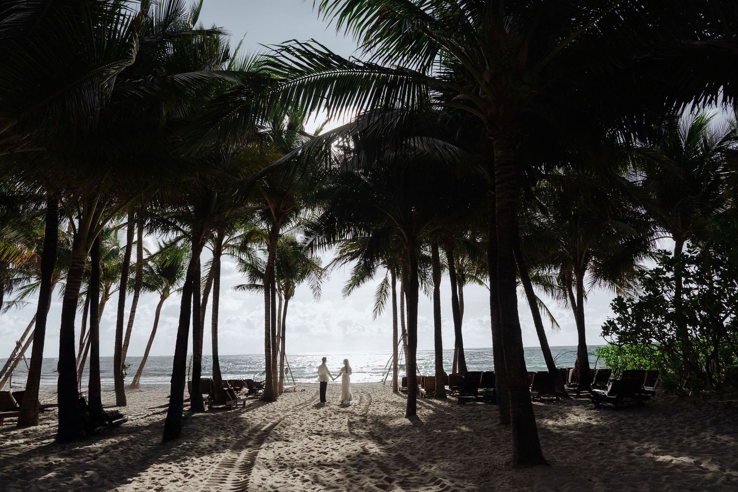 Silhouette of couple holding hands on a tropical beach framed by tall palm trees.
