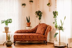 Ornate red patterned chaise lounge surrounded by lush green houseplants in a bright, bohemian-styled living room.