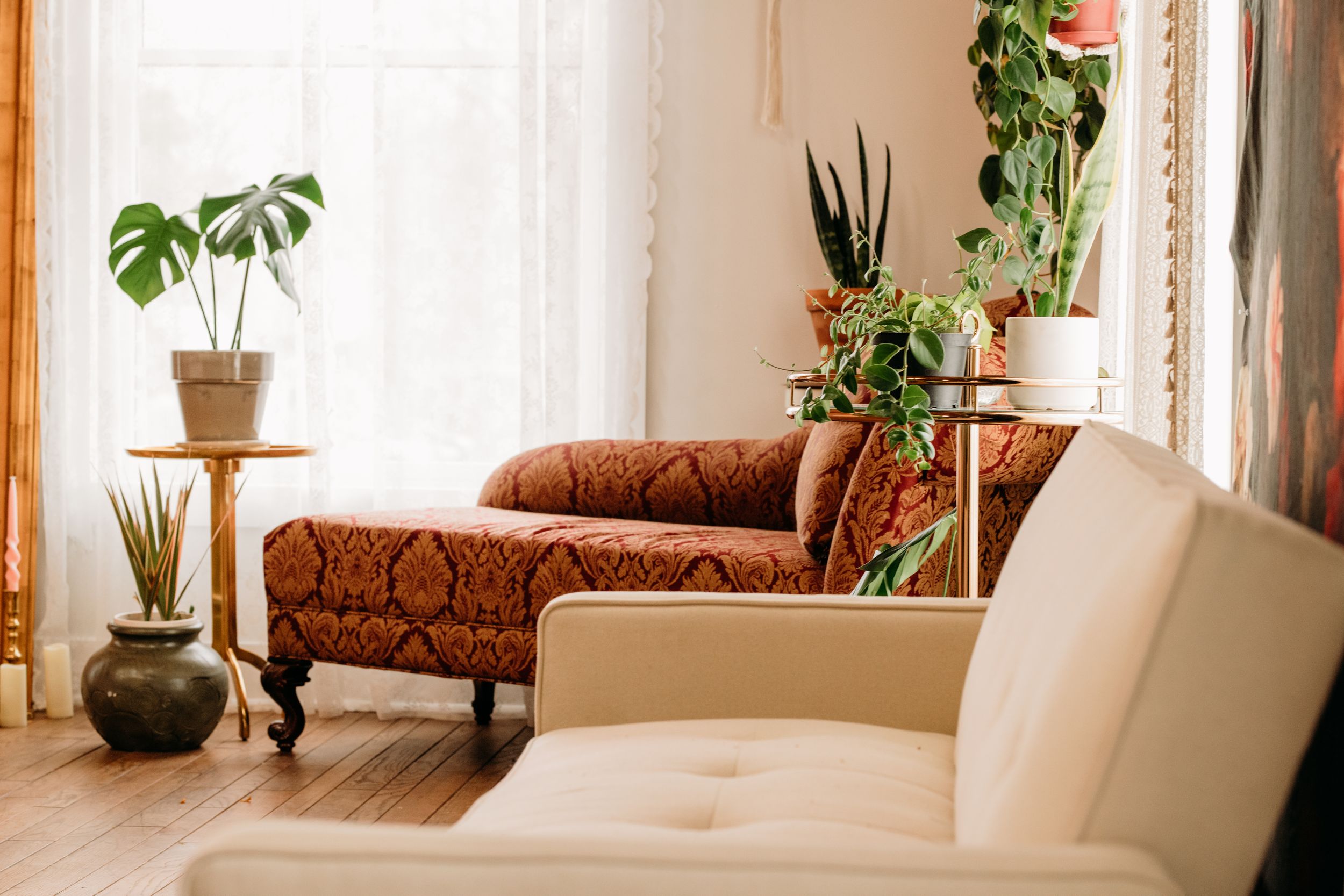 Cozy living room with a red patterned chaise lounge, white armchair, and lush green houseplants near bright windows.