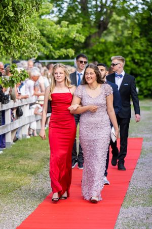 festival, konsertfoto, konsertfotograf, evenemang, eventfotograf, studentbal, studentfoto, balfoto, mingelfotograf, mingelfoto, röda mattan