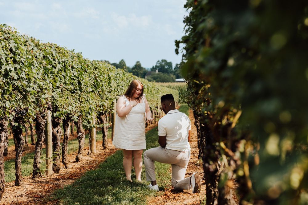 Engagement Proposal at Waltz Vineyards Estate Winery in Manheim, PA