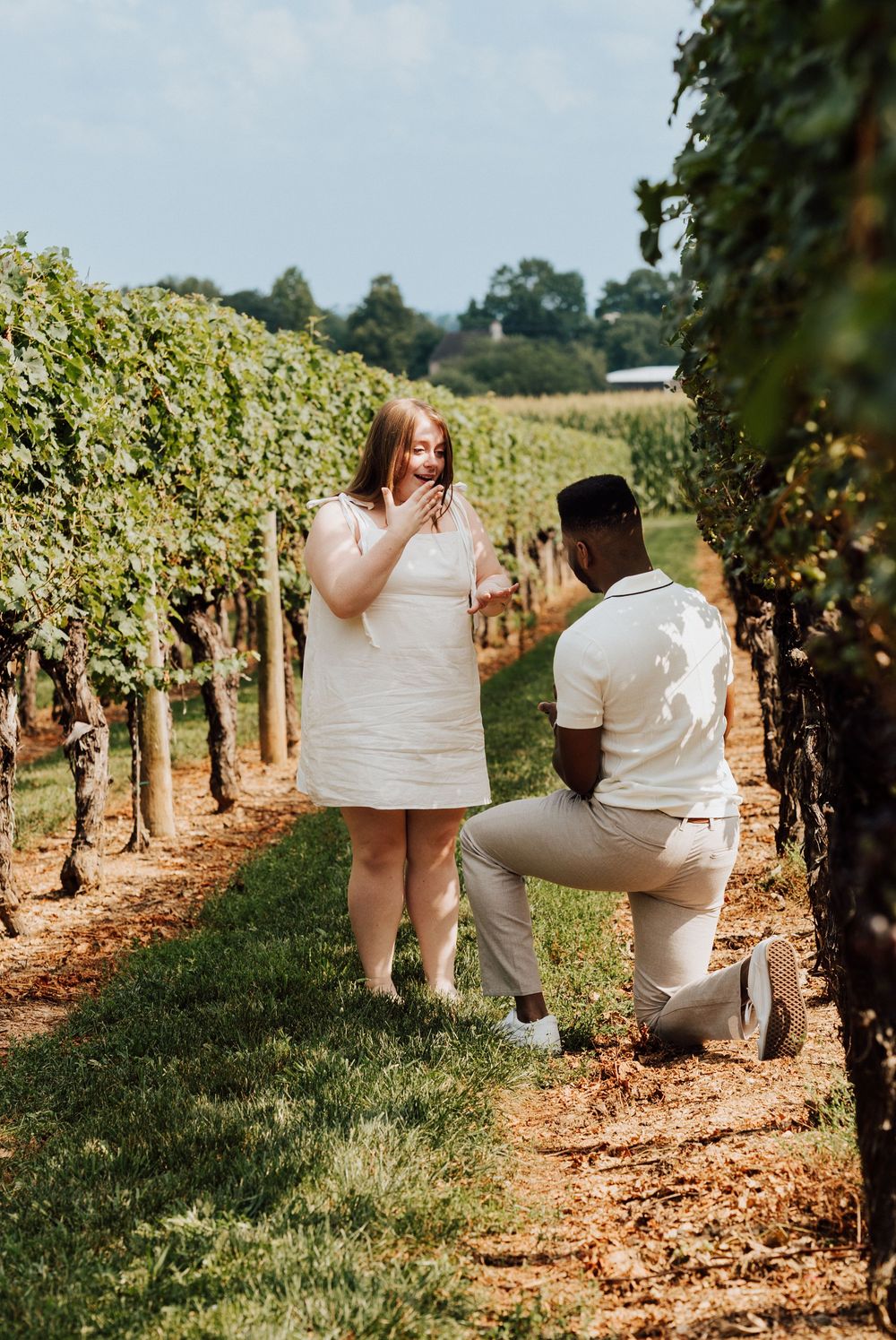 Engagement Proposal at Waltz Vineyards Estate Winery in Manheim, PA