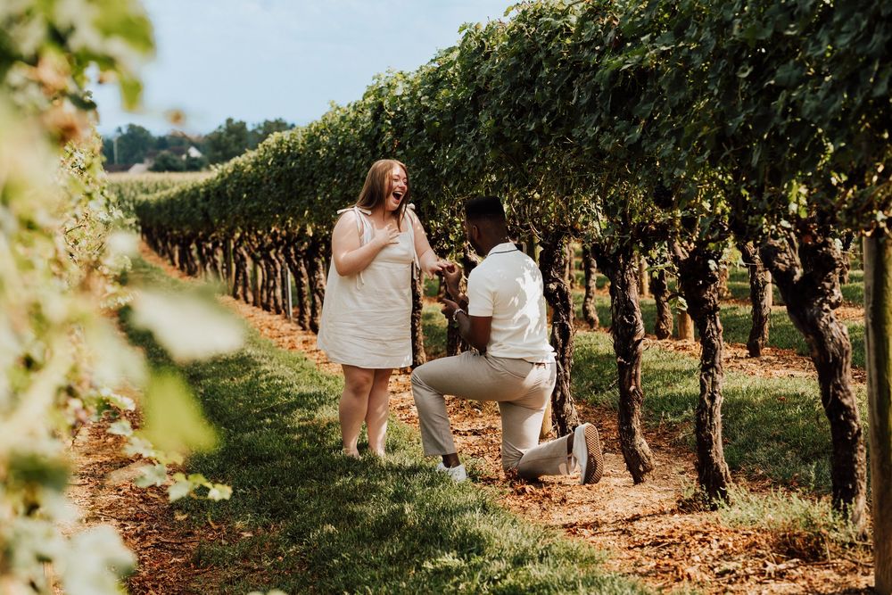 Engagement Proposal at Waltz Vineyards Estate Winery in Manheim, PA