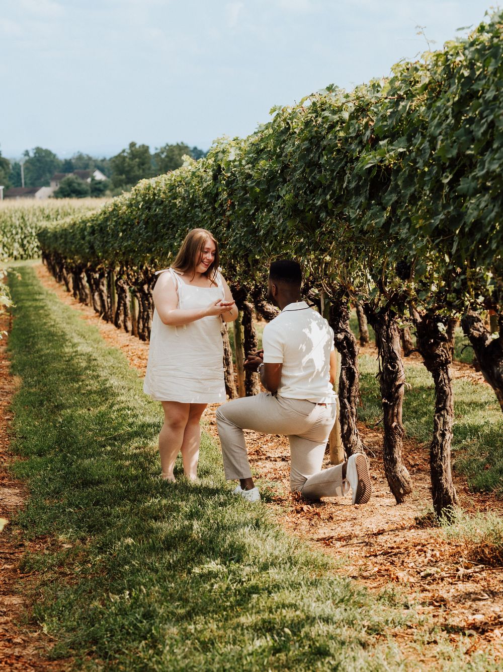 Engagement Proposal at Waltz Vineyards Estate Winery in Manheim, PA