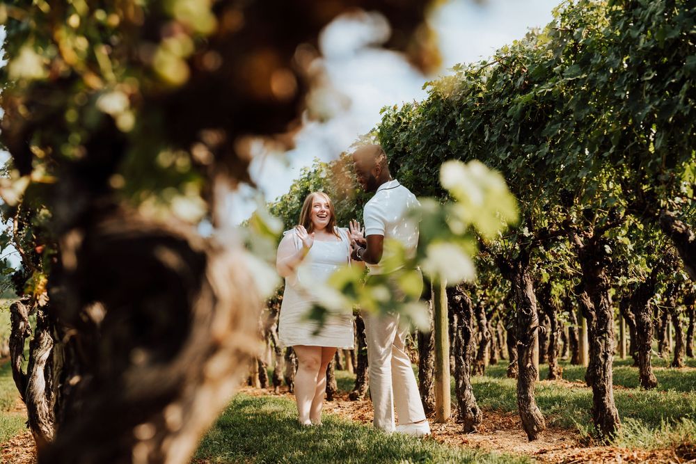 Engagement Proposal at Waltz Vineyards Estate Winery in Manheim, PA