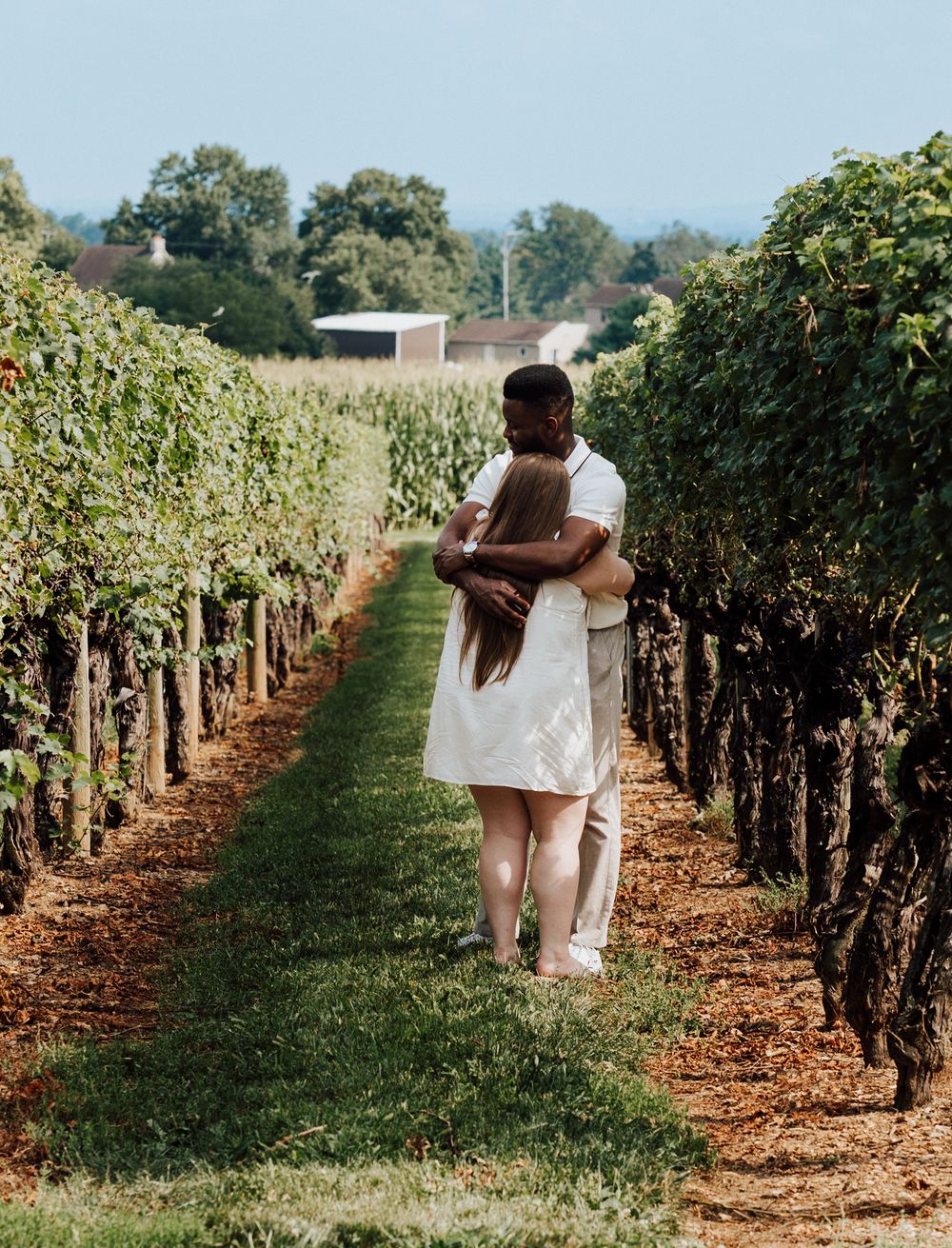 Engagement Proposal at Waltz Vineyards Estate Winery in Manheim, PA