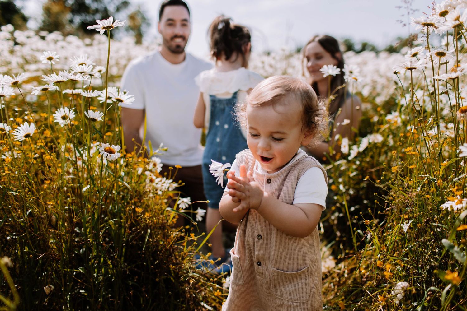 Child examining flowers in sunny wildflower meadow with family in background.