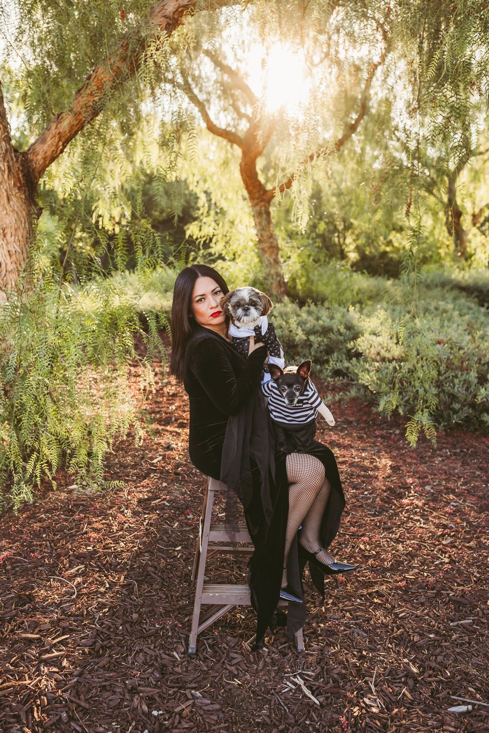 A small pet dog in striped clothing sits with its owner on a wooden stool under trees in a sun-dappled forest setting.