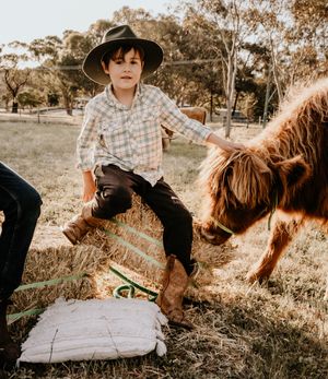 perth highland cows, highland cows, bullsbrook, farm stay, perth photography, perth families, family photos perth