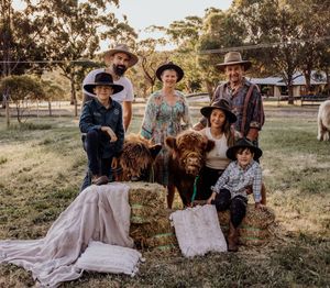 perth highland cows, highland cows, bullsbrook, farm stay, perth photography, perth families, family photos perth