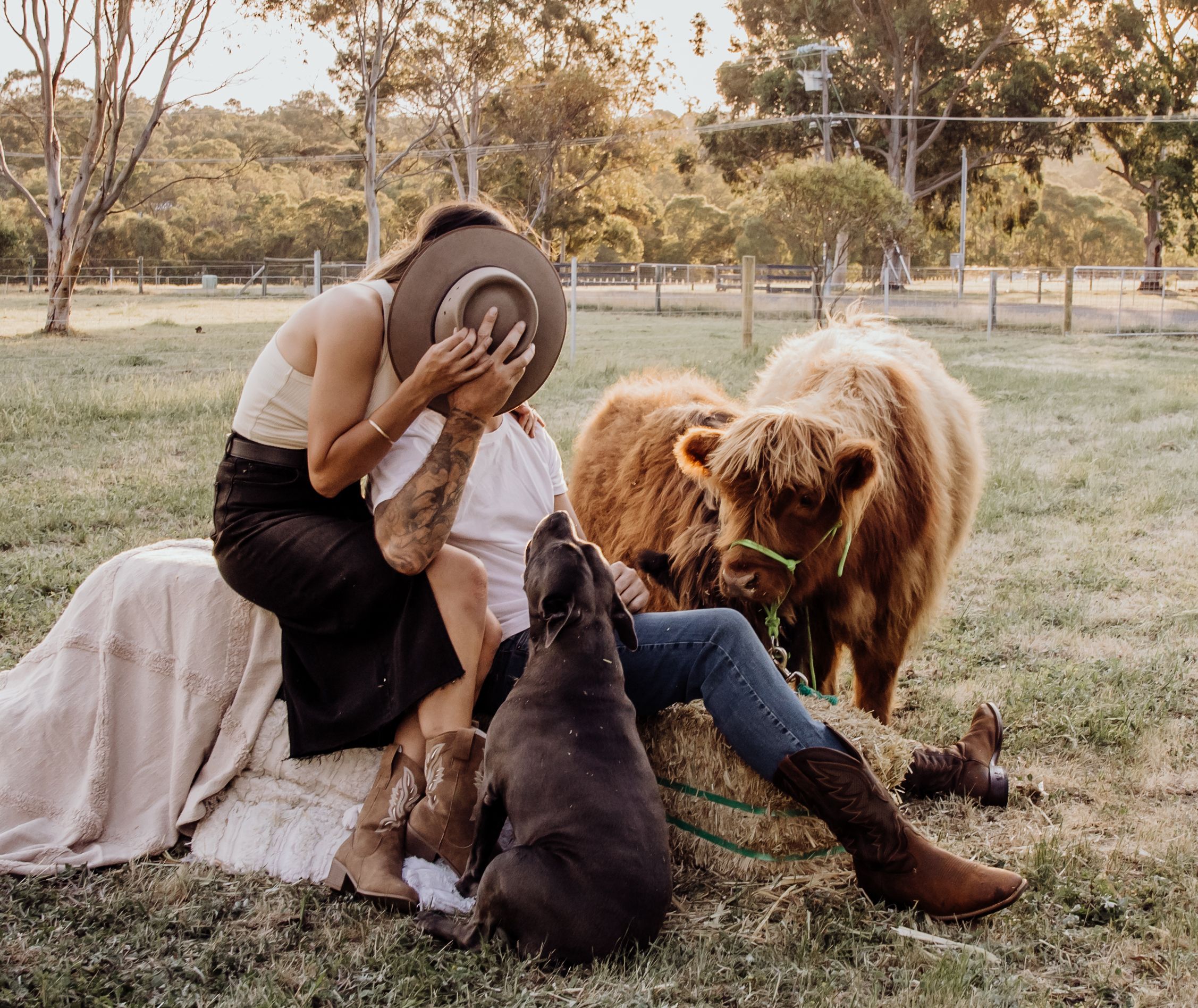 perth highland cows, highland cows, bullsbrook, farm stay, perth photography, perth families, family photos perth