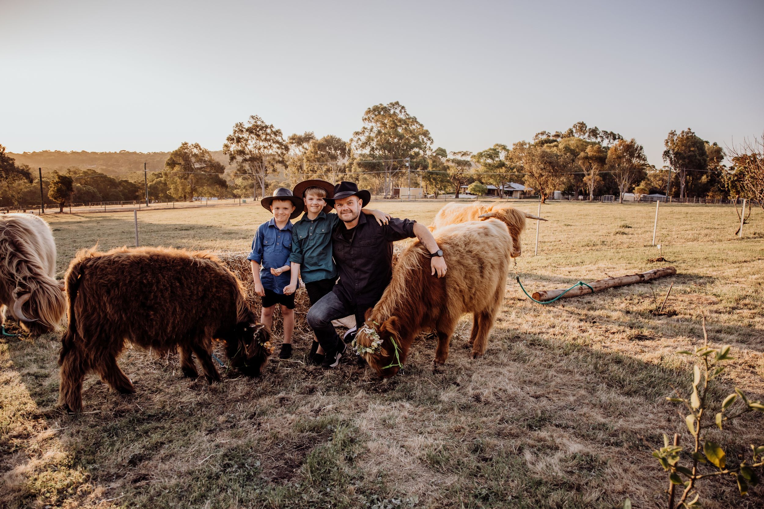 perth highland cows, highland cows, bullsbrook, farm stay, perth photography, perth families, family photos perth