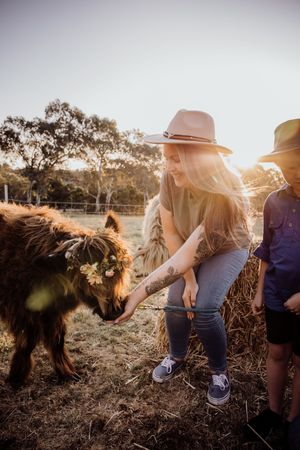 perth highland cows, highland cows, bullsbrook, farm stay, perth photography, perth families, family photos perth