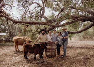 perth highland cows, highland cows, bullsbrook, farm stay, perth photography, perth families, family photos perth