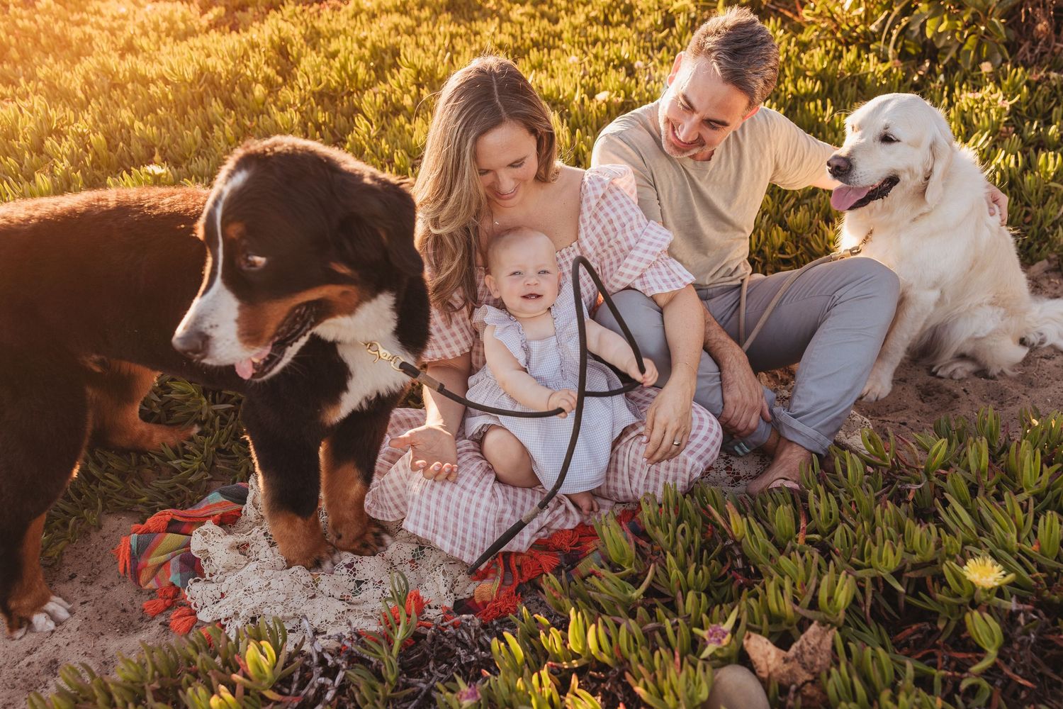 A family and their dogs relax together in a sunny field during golden hour.