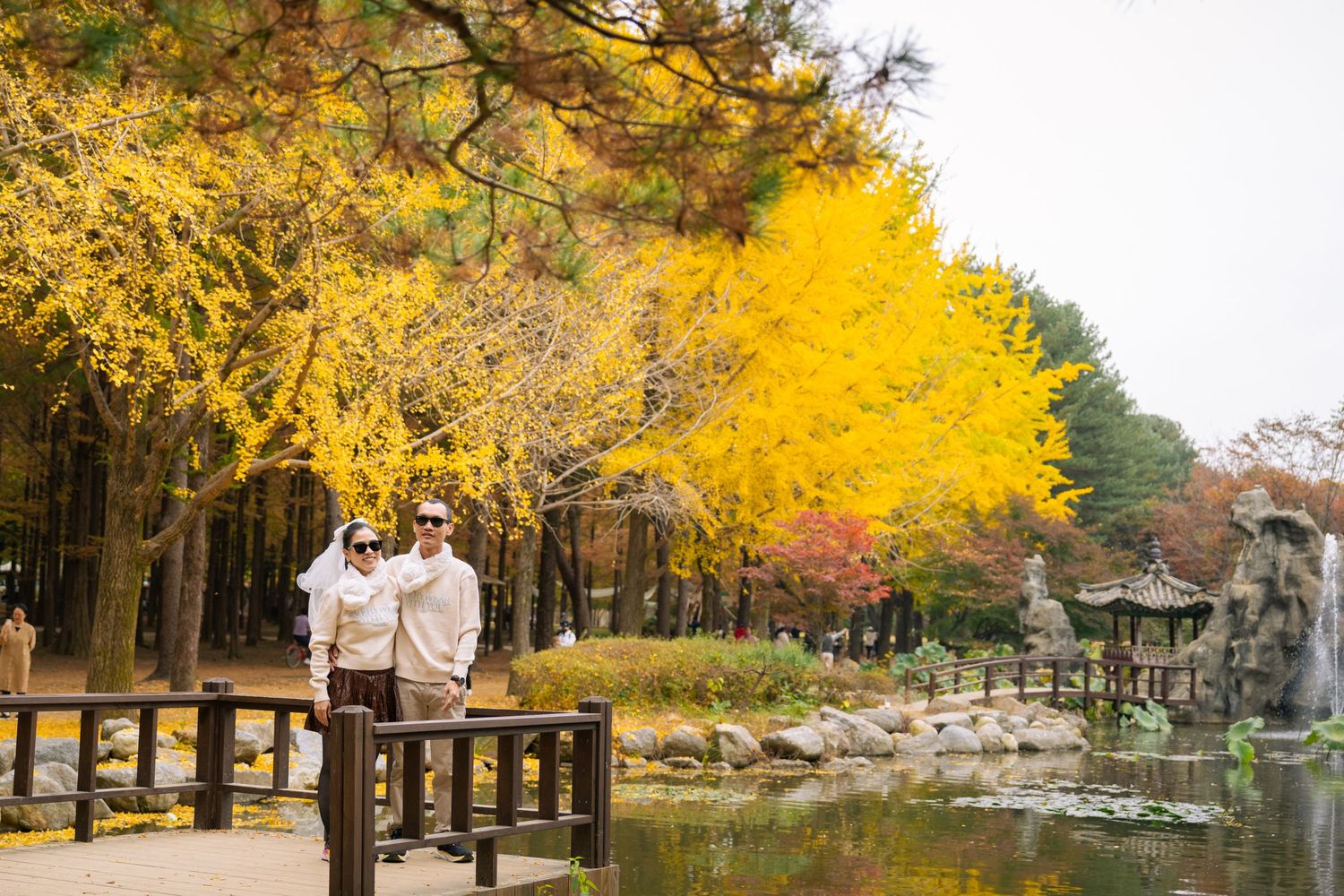 Nature photography panorama showing autumn leaves and trees in a row with golden foliage against bright sky.