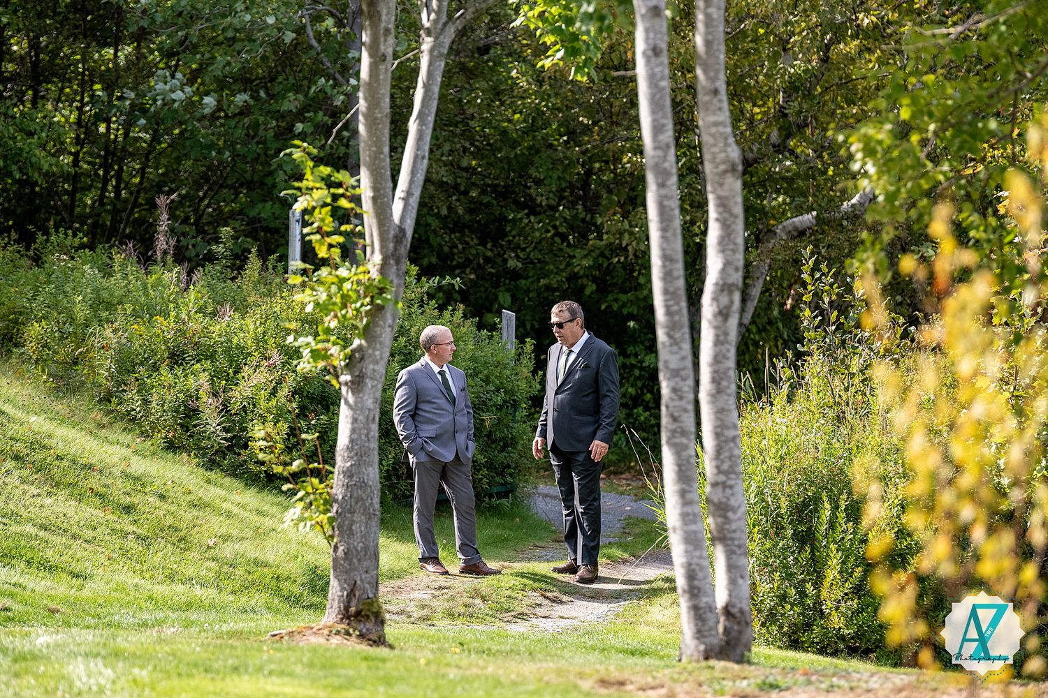 Two figures walk along a tranquil wooded path with white birch trees and dappled sunlight filtering through.