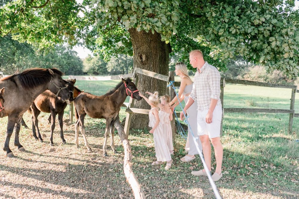 People walking through a shaded area with horses visible in the background.