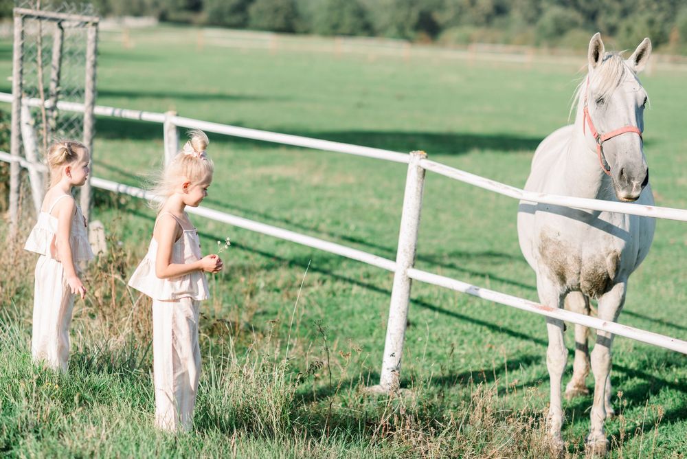 Family walking along white fence in countryside setting during golden hour.