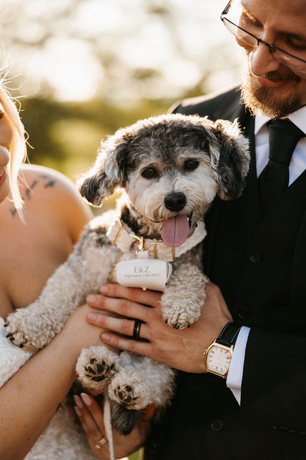 Newlyweds share affectionate moments with their small white dog wearing a wedding bowtie in three candid poses.
