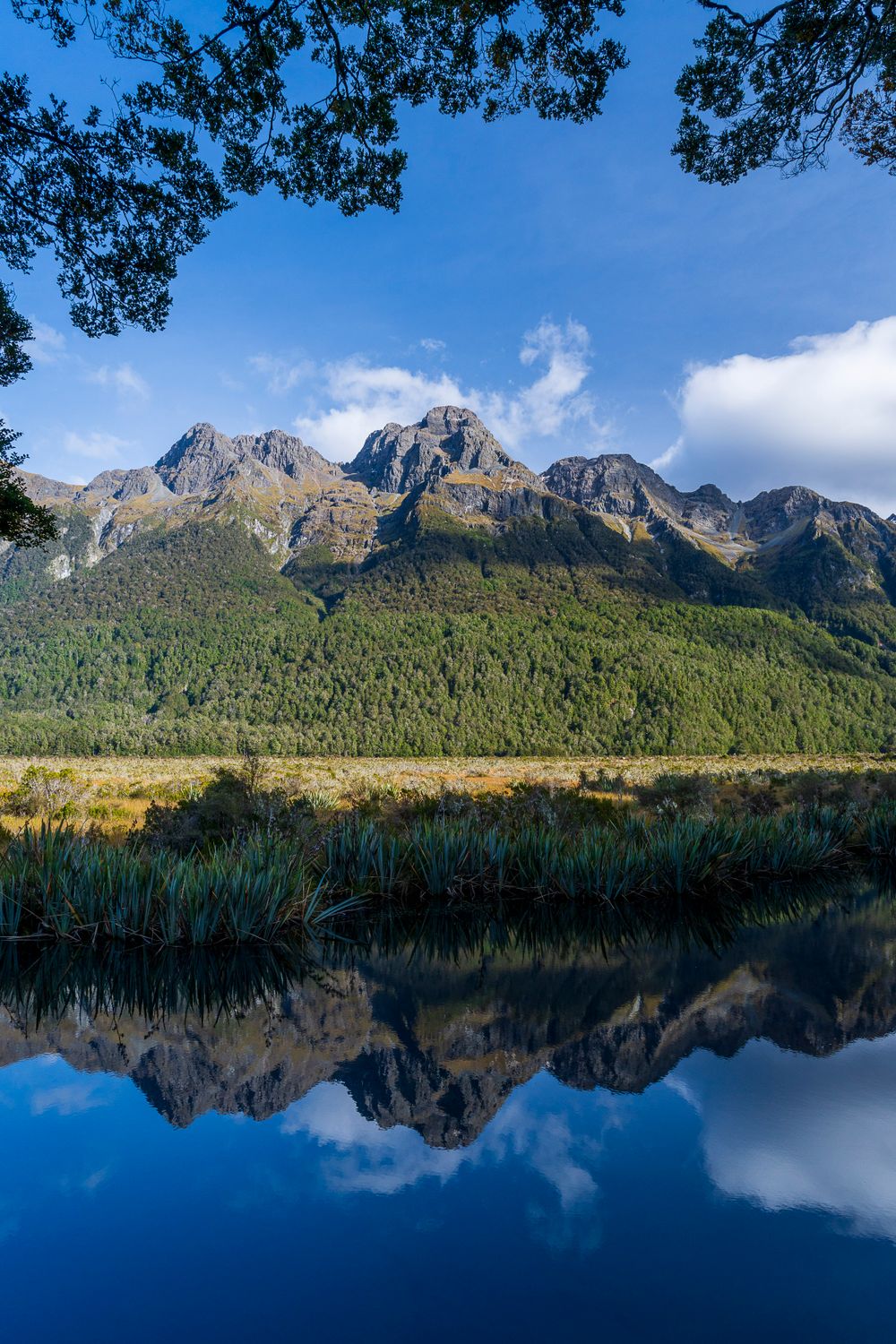 Mirror Lakes Fiordland NZ
