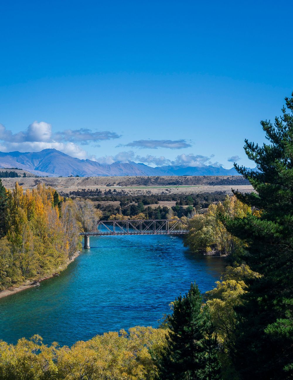 Red Bridge NZ