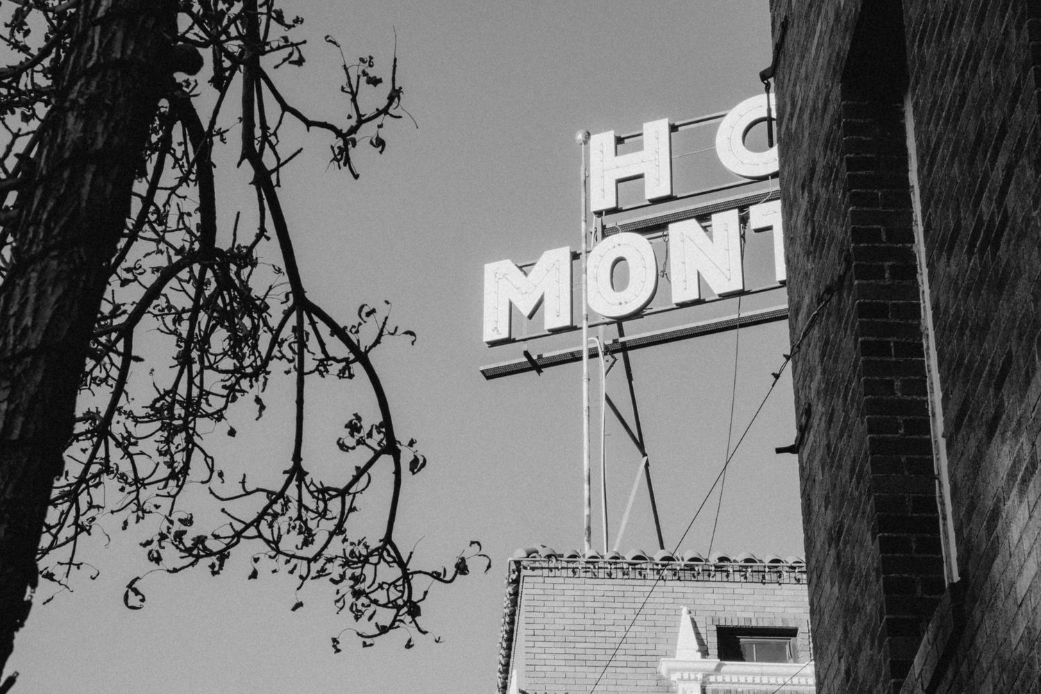 Black and white signage for Hotel Monte Vista in Flagstaff, against a dark sky with tree branches in foreground view.