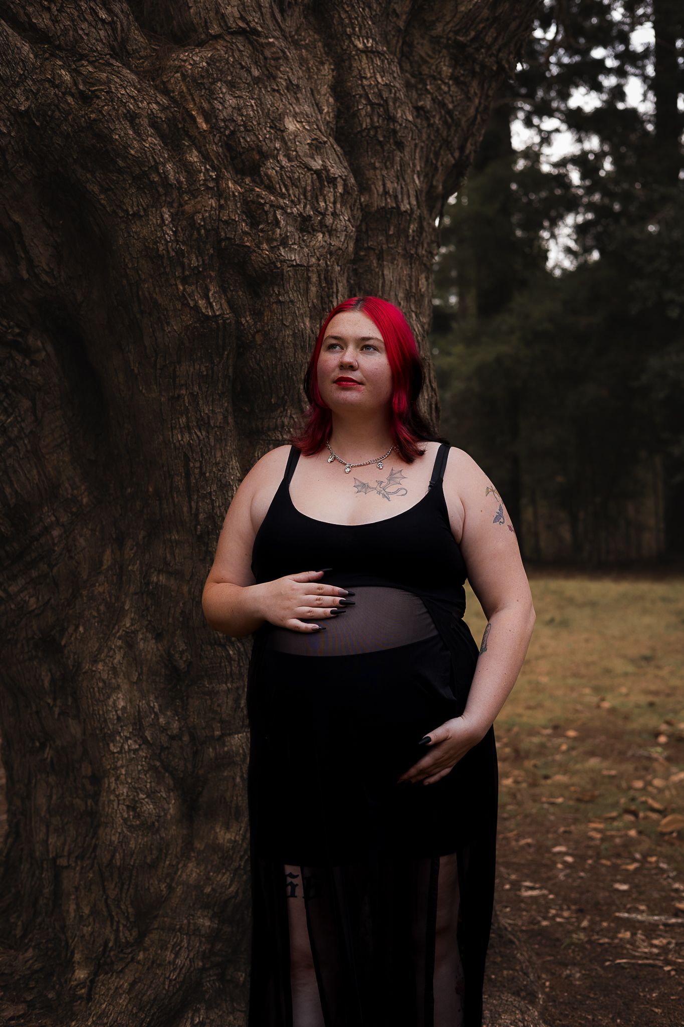 pregnant mother standing near big trees in the forest near Yarraman in Queensland, Australia