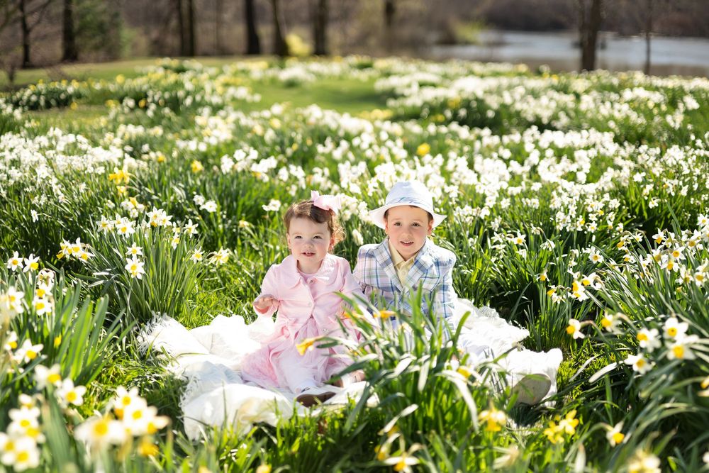 A little girl in pink and a boy in a white hat sit smiling in a lush field of white and yellow daffodils.