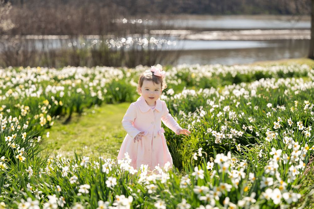 Toddler girl in pink dress standing among white daffodils in sunny spring garden near water.