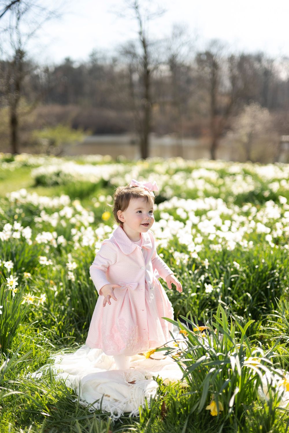 Happy toddler girl in pink dress standing in sunny field of white daffodils in spring.