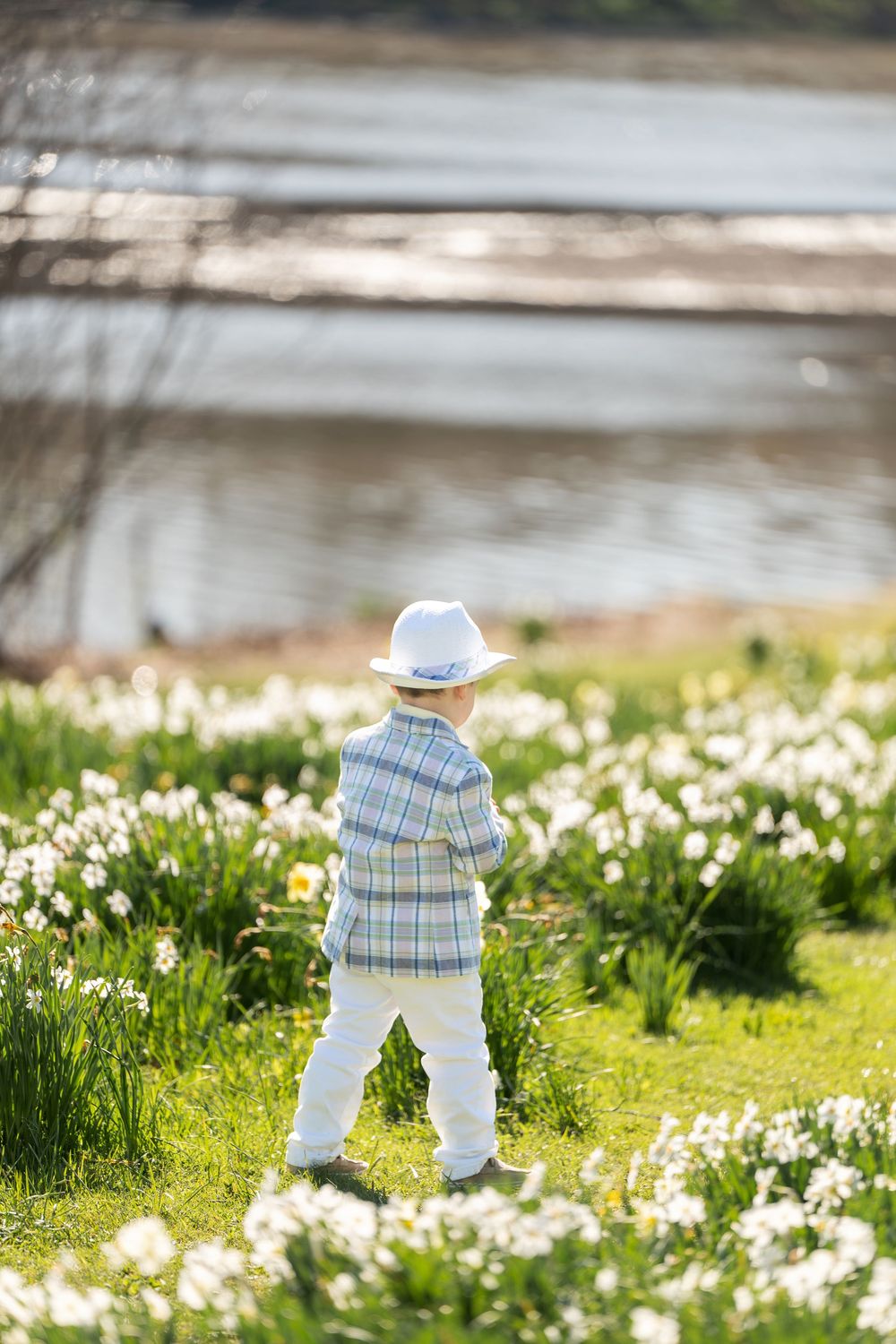 Young boy in plaid shirt and white hat viewed from behind, gazing at water in daffodil field.