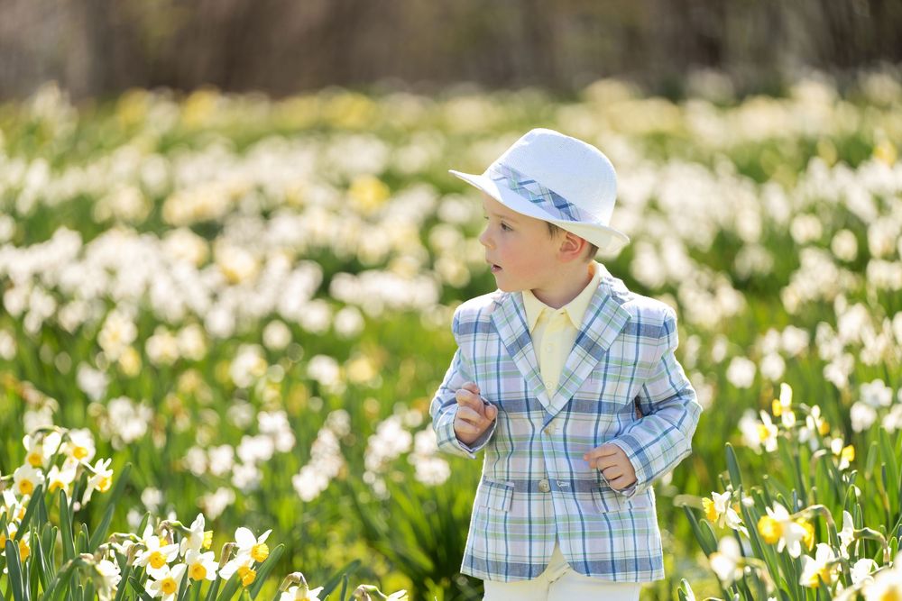 Cute boy in plaid blazer and white hat standing among blooming white daffodils in spring.
