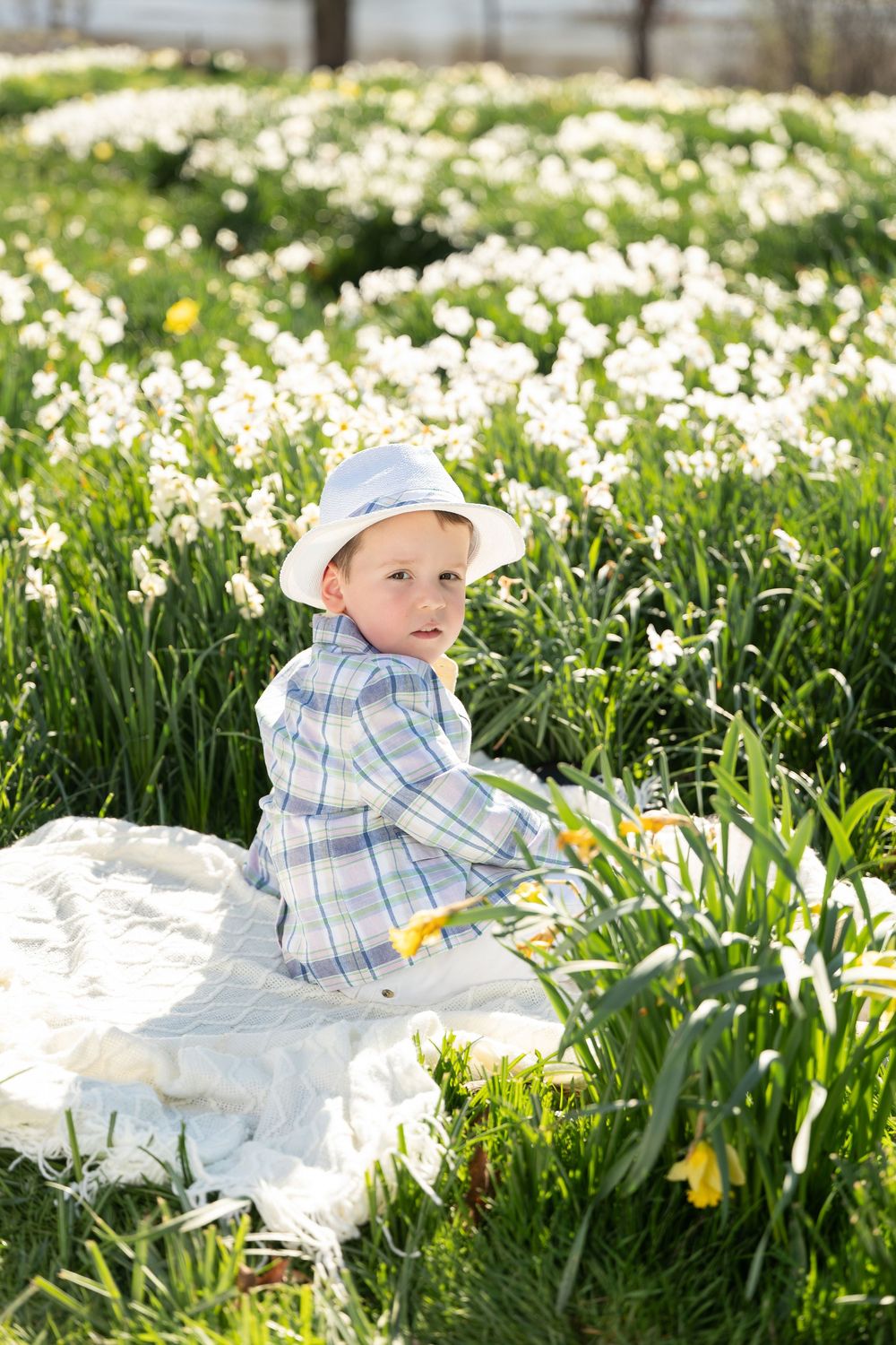 Young boy in plaid shirt and white hat sitting on blanket surrounded by white daffodils.