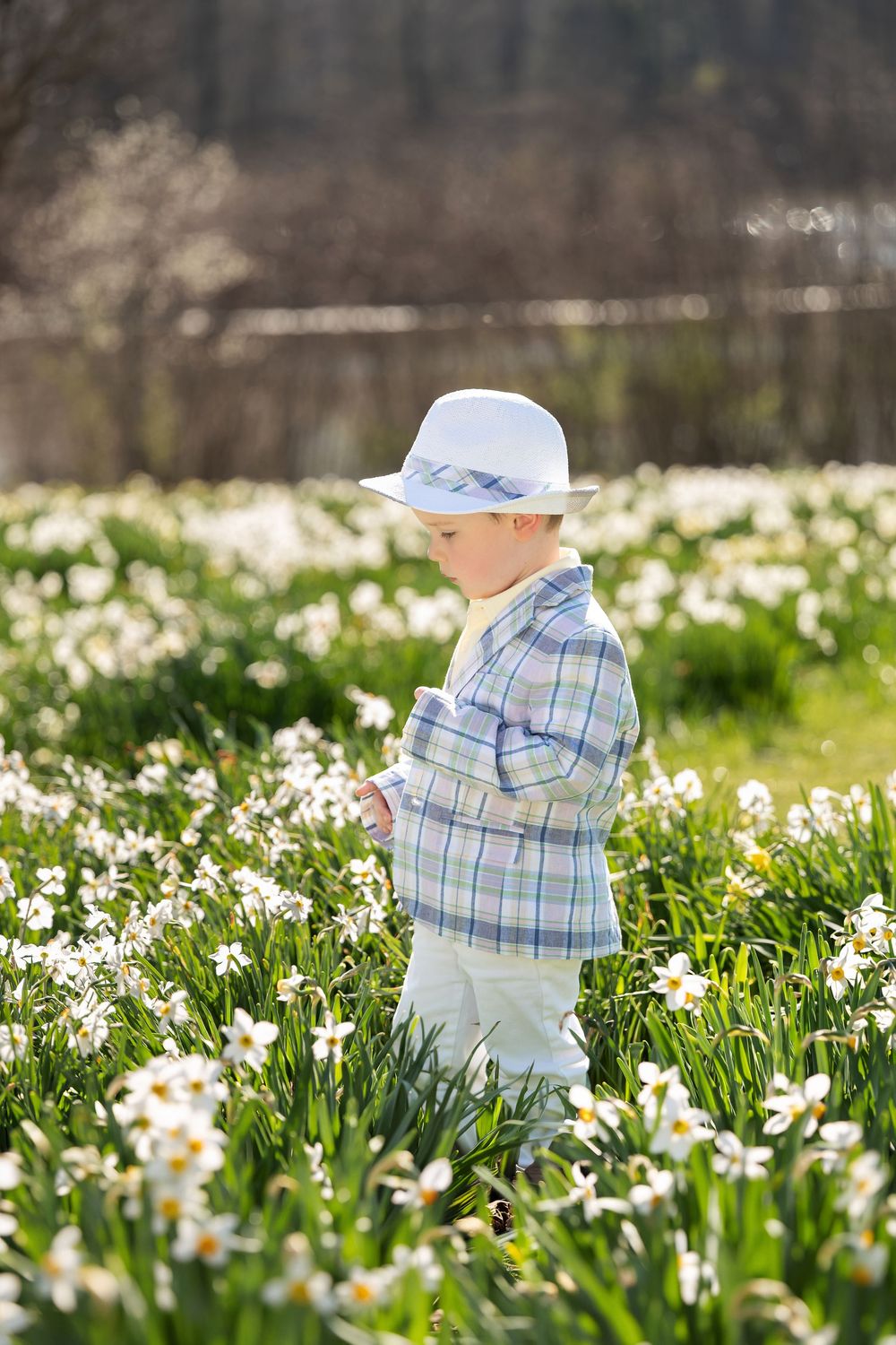 Toddler boy in white hat and plaid shirt standing among white daffodils in sunny spring garden.
