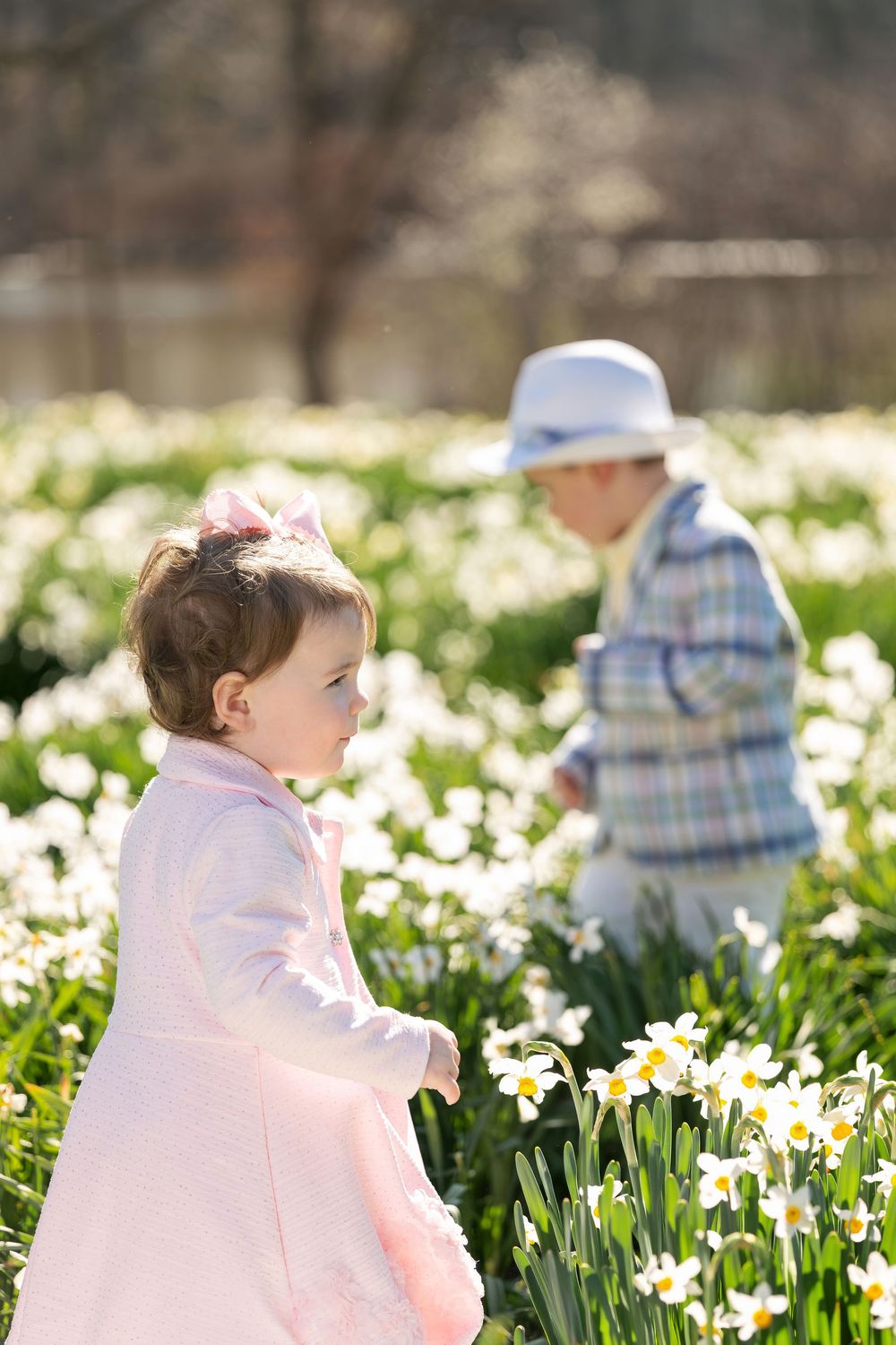 Two young children playing together in a field of white daffodils on a sunny spring day.