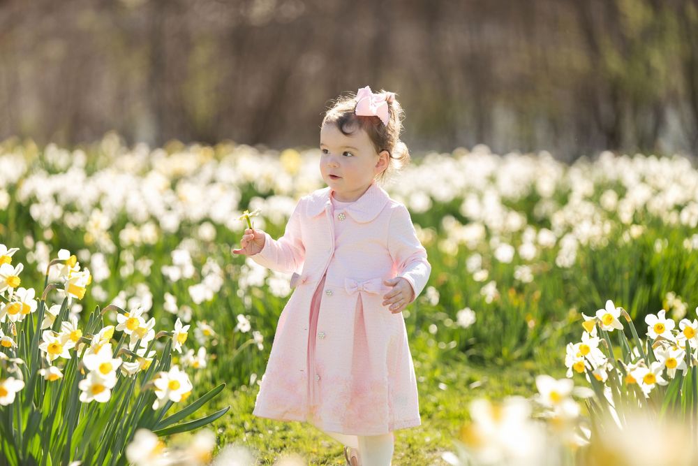 Adorable baby girl in pink dress with bow standing among blooming white daffodils in spring.