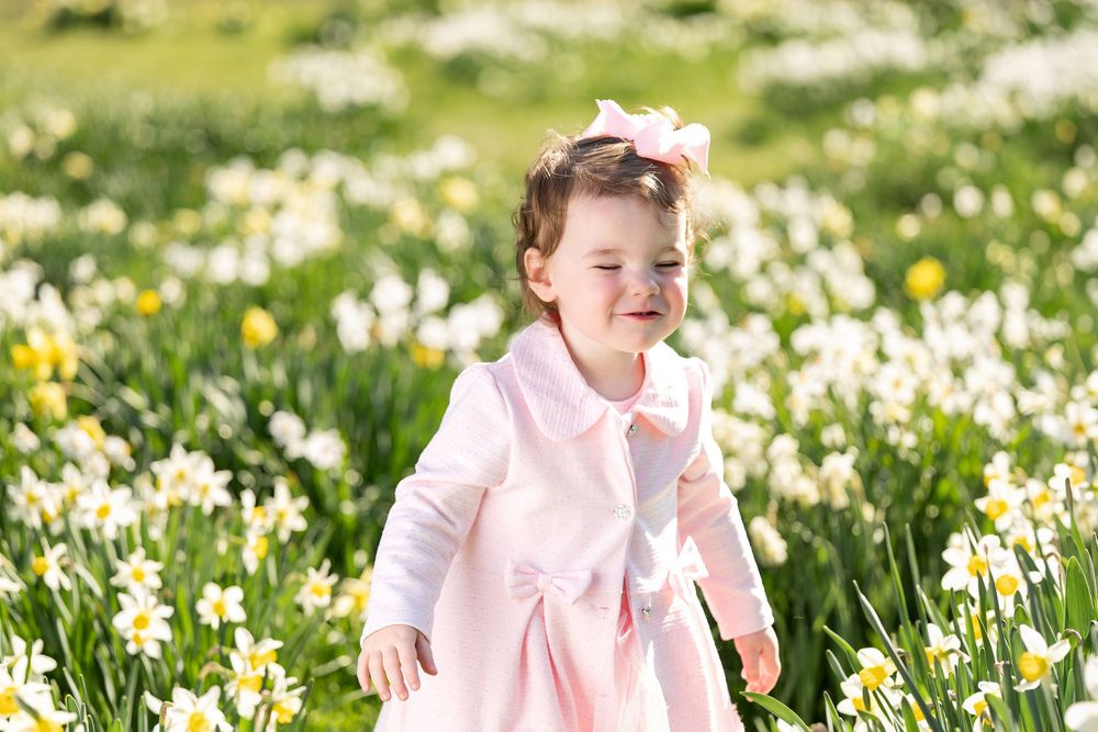 An adorable toddler girl in a pink dress and bow explores a vibrant field of white and yellow daffodils.
