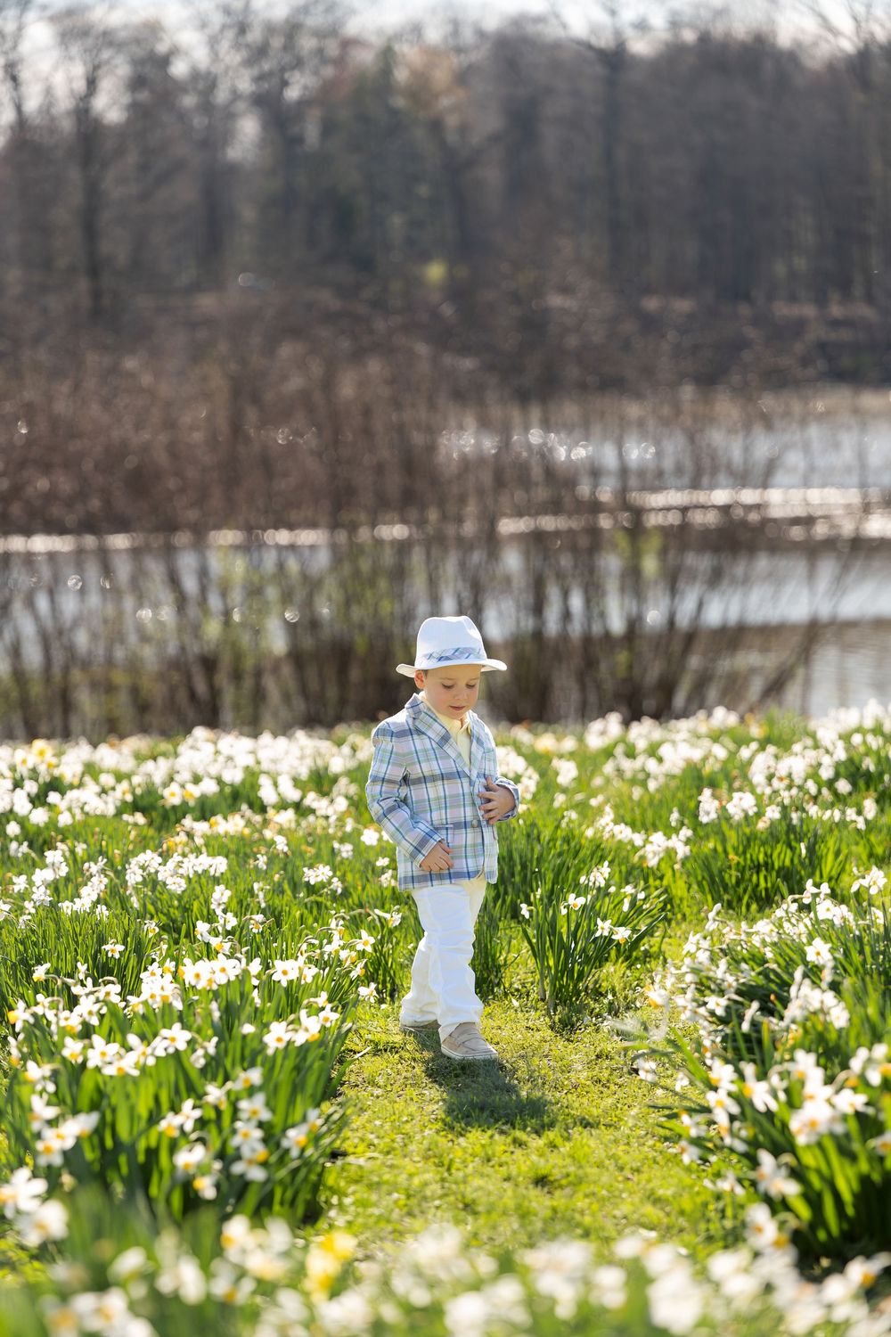 A young boy wearing a white hat and plaid jacket stands in a sunlit field of white daffodils near a lake.
