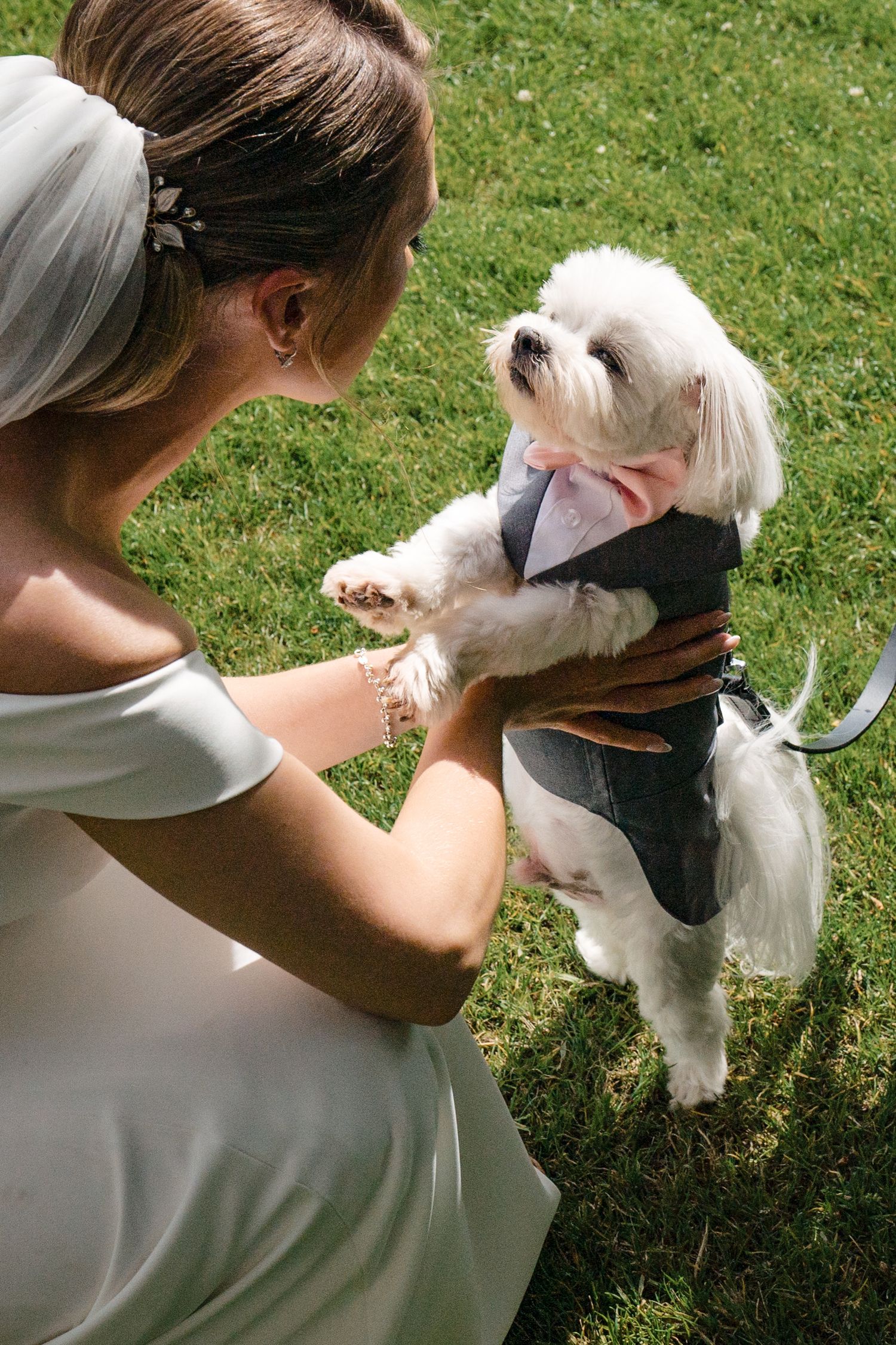 Bride in white dress holding a small white Maltese dog dressed in a tuxedo with pink bow tie on green grass.