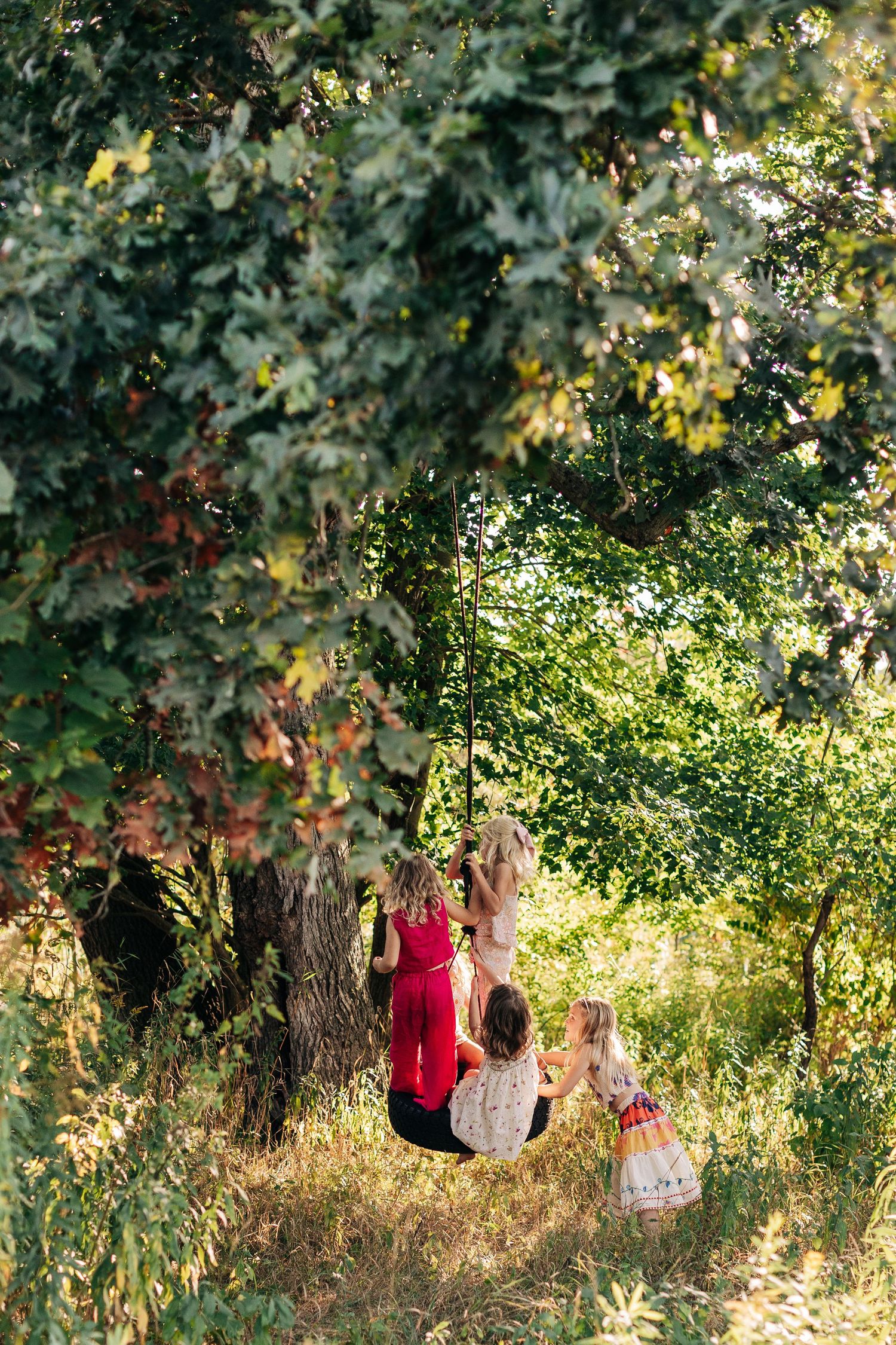 A group of young girls play on a tire swing hanging from a large tree in a sunny forest.