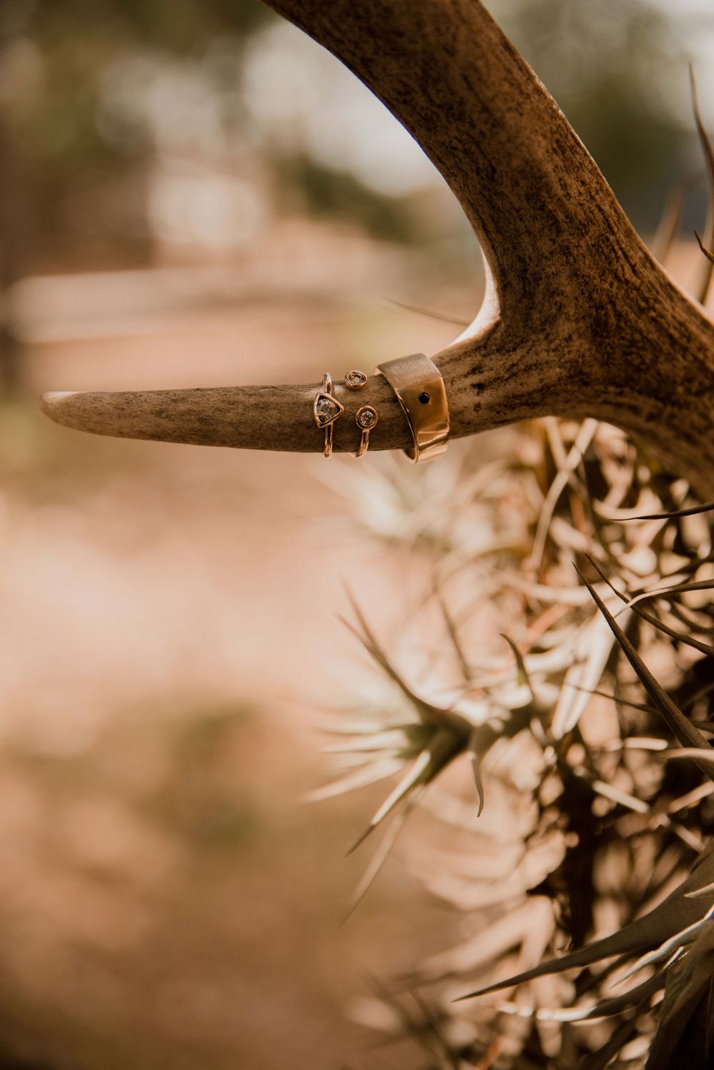 Close up detail photograph of the groom and brides gold wedding rings