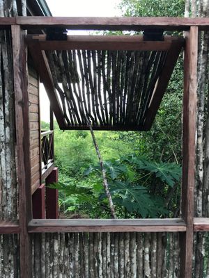 Rustic wooden frame window overlooking lush tropical jungle with bamboo roof and green foliage in natural setting.