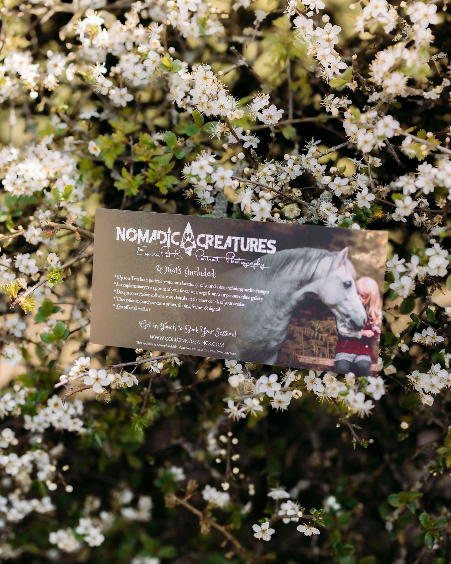 Nomadic Creatures photography business card displayed among blooming white spring flowers outdoors.